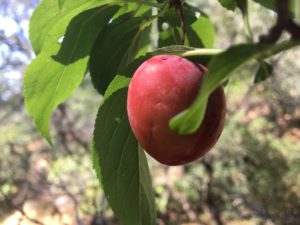 love spiritual meetings